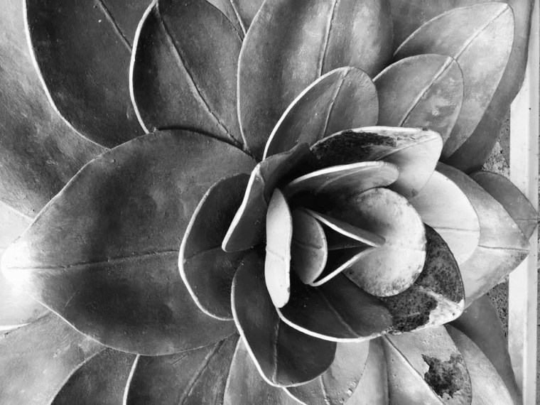 31416707_10214556213435668_5154302873348981578_n (1).jpg