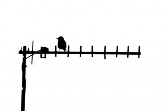 television-antenna-1515170096wLH