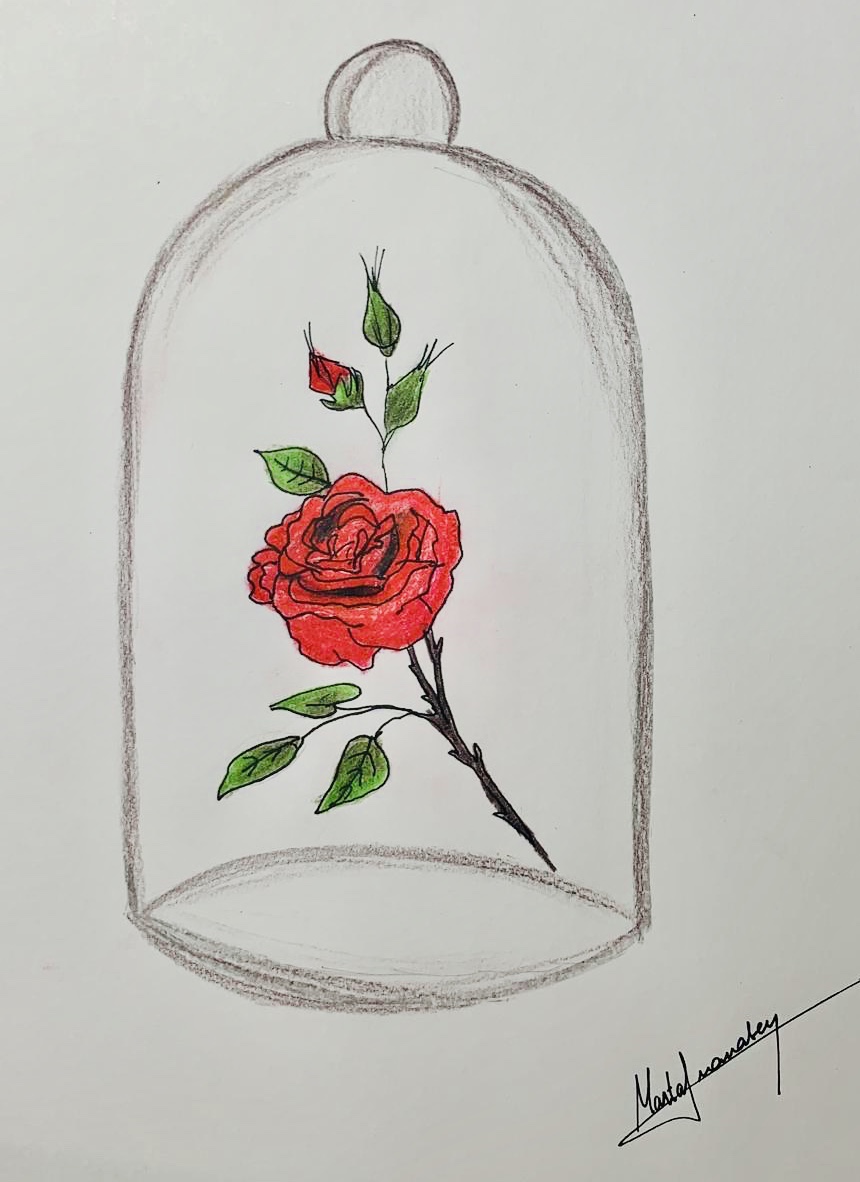 a420f8f0-6a8c-4ced-8223-04c5cc721c7d-1